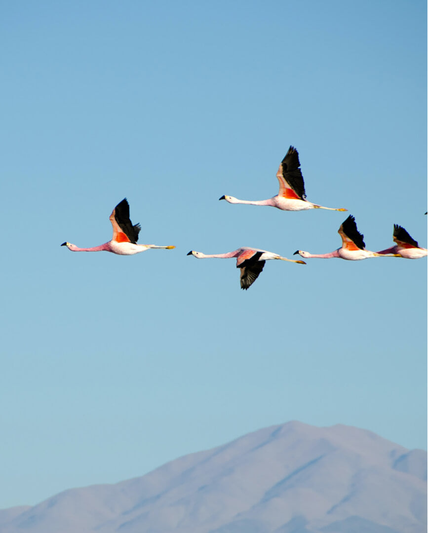 Chile