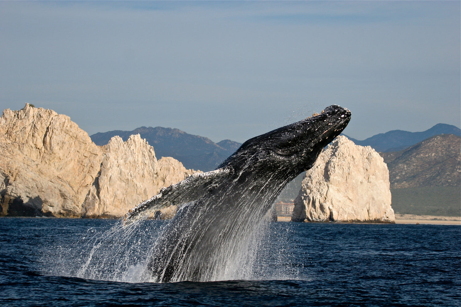Los Cabos