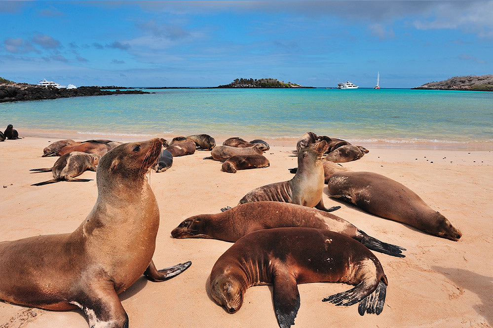 Galápagos, Ecuador