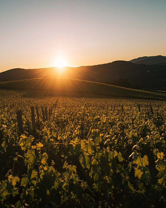 Viaje al paraíso de la Toscana
