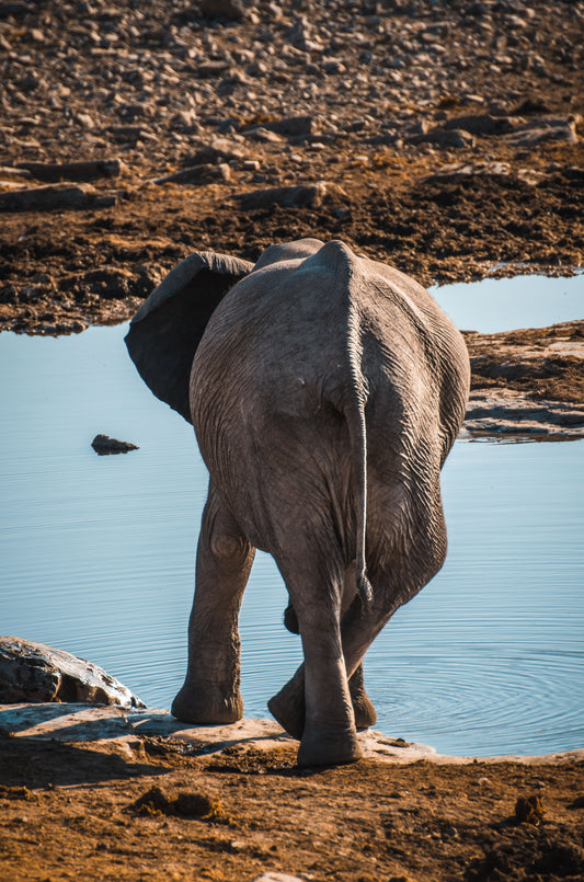 Namibia
