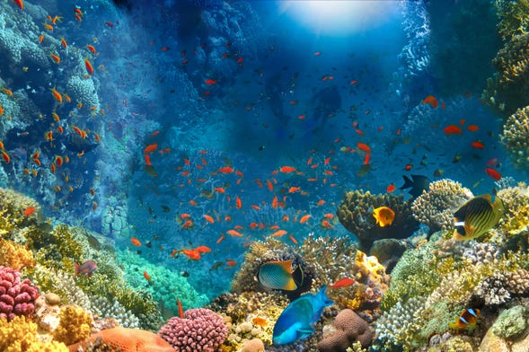 Aqaba, Jordania