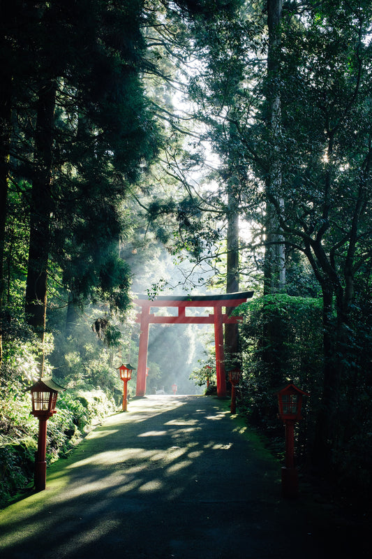 Japón