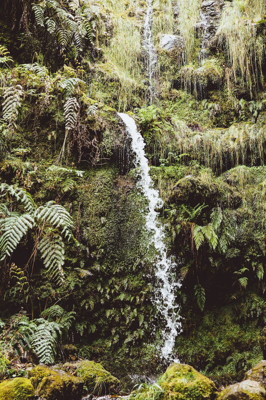 Madeira